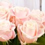 Boeket Roze Rozen detail